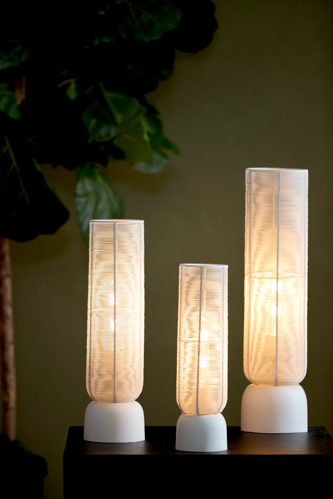 Vooraanzicht van drie slanke tafellampen in verschillende hoogtes, met transparante geribbelde kappen, warm licht en witte ronde voetstukken.