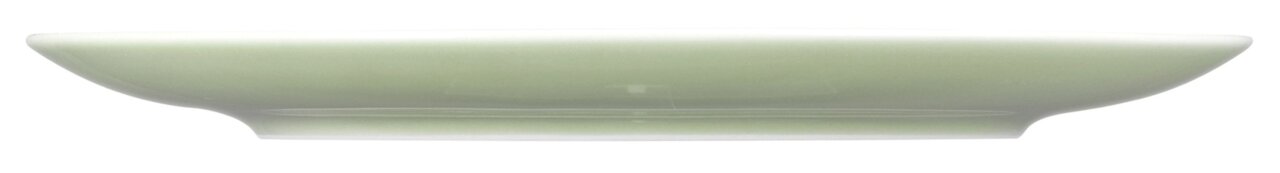 Seitenansicht eines runden Frühstückstellers, 22,5 cm, in hellem Grün.