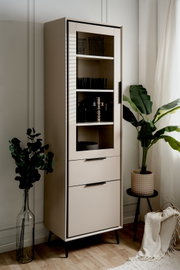 Moderne vitrinekast met glazen deur en lades, zijaanzicht, versierd met planten en accessoires.