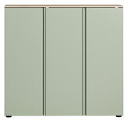 Frontansicht eines XL-Schuhschranks in hellem Grün mit drei Türen und einer Holzoberfläche.