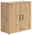 Carryhome Kommode MULTISTAURAUM Holzkommode mit zwei Türen und schwarzen Griffen, Perspektive von vorne links