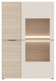 Moderne Vitrine mit Holz- und Glaselementen, frontale Ansicht