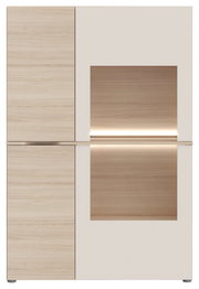 Moderne Vitrine mit Holz- und Glaselementen, frontale Ansicht