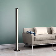 Moderne Stehleuchte PURE-LINES von Paul Neuhaus in einem Wohnzimmer, seitliche Perspektive neben einem grauen Sofa.