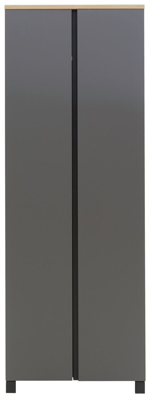 Moderner grauer Dielenschrank mit Holzoberfläche, Frontalansicht