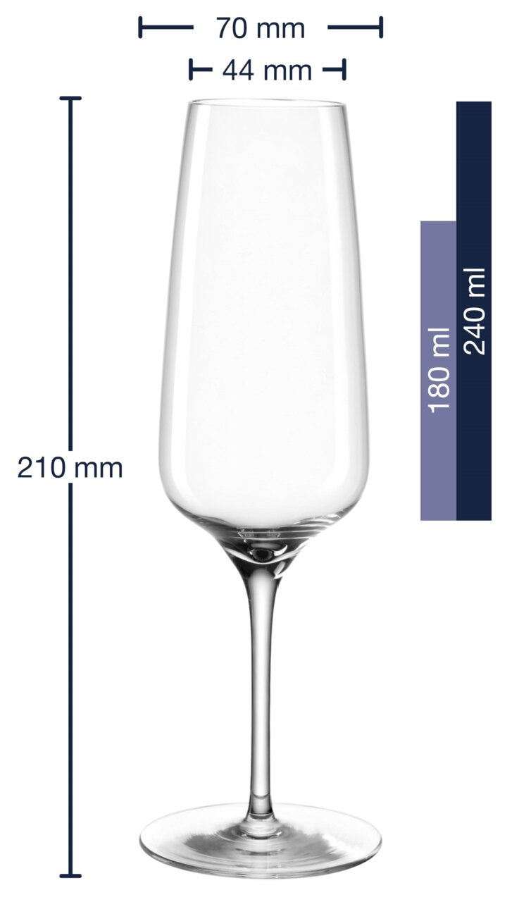 Champagneglas 240 ml CESTI, zijaanzicht, hoogte 210 mm, diameter bovenkant 70 mm, inhoud 240 ml