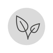 Symbol eines stilisierten Blattes auf grauem Hintergrund, Vorderansicht