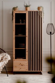 Moderne houten vitrinekast met open planken en decoratieve planten, gefotografeerd van voren.