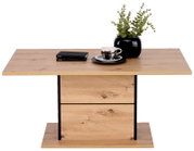 Moderne houten salontafel met een zwart accent, versierd met een plant, een kopje en boeken, vooraanzicht.