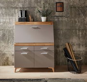 Moderner Sekretär aus Holz und Metall mit Schubladen und Klappe, frontal fotografiert, dekoriert mit Pflanzen und Büromaterial.