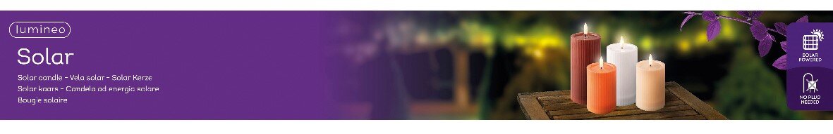 Drei Solar-Kerzen in verschiedenen Farben auf einem Holztisch, im Freien bei Nacht, mit unscharfem Hintergrund und lila Blättern im Vordergrund.