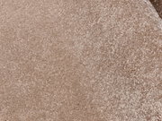 Nahaufnahme eines beigen Uni-Teppichs mit weicher Textur.