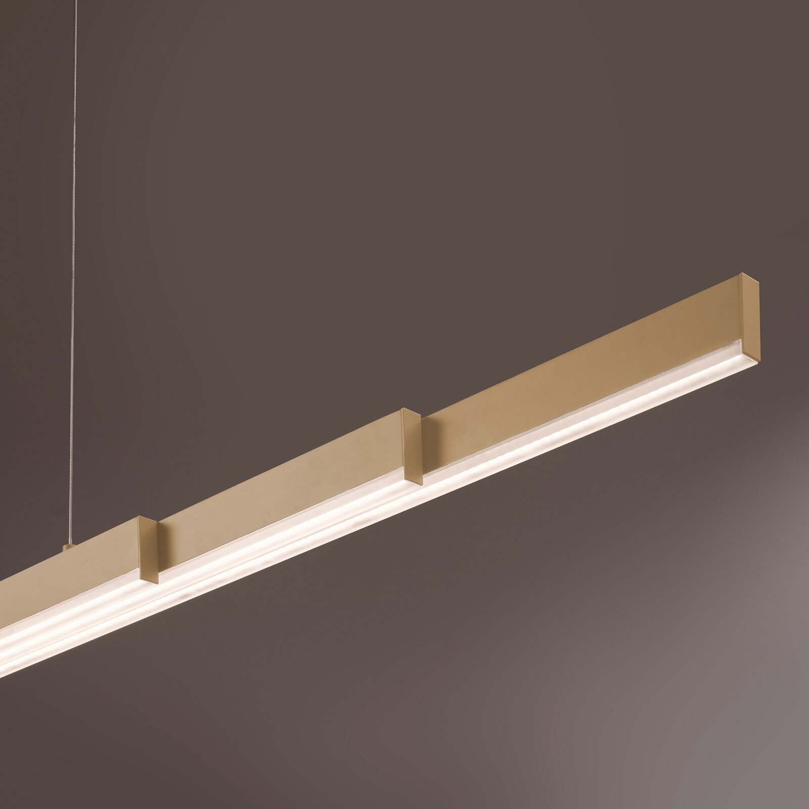 Moderne, lineare LED-Pendelleuchte in Gold/Champagner mit durchgehendem Diffusor, schräg von unten in Nahaufnahme vor grauem Hintergrund fotografiert.
