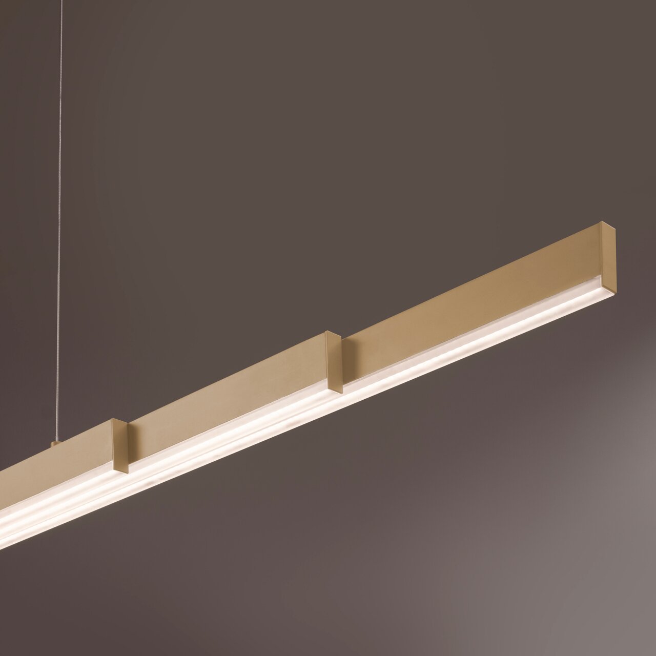 Moderne, strakke LED-hanglamp in goud/champagne met doorlopende lichtverspreider, schuin van onderaf gefotografeerd in close-up tegen een grijze achtergrond.