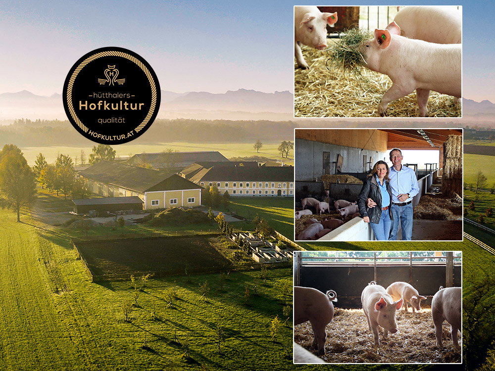 Luftaufnahme eines Bauernhofs mit Schweinestall, Schweinen und Landwirtspaar, Hofkultur-Qualität.