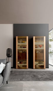 Zwei moderne Vitrinen aus Holz mit Glastüren, frontal fotografiert, gefüllt mit dekorativen Objekten, in einem stilvollen Wohnzimmer.