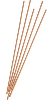 Fünf braune Faserstäbchen in diagonaler Anordnung auf weißem Hintergrund, von oben betrachtet.