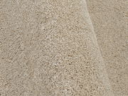 Nahaufnahme eines beigen Uni-Teppichs mit weicher Textur, seitliche Perspektive