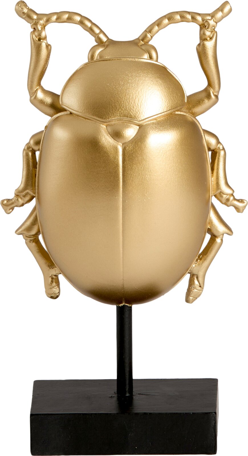 Vooraanzicht van een decoratieve goudkleurige kever op een zwarte metalen standaard tegen een witte achtergrond