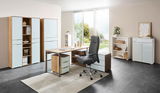 Moderne Büromöbelkombination mit Schreibtisch, Rollcontainer und Aktenschränken in einem hellen Raum mit Blick auf den Garten, aus der Perspektive von vorne.