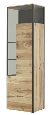 Vitrine aus Holz mit Glasfront, seitliche Perspektive