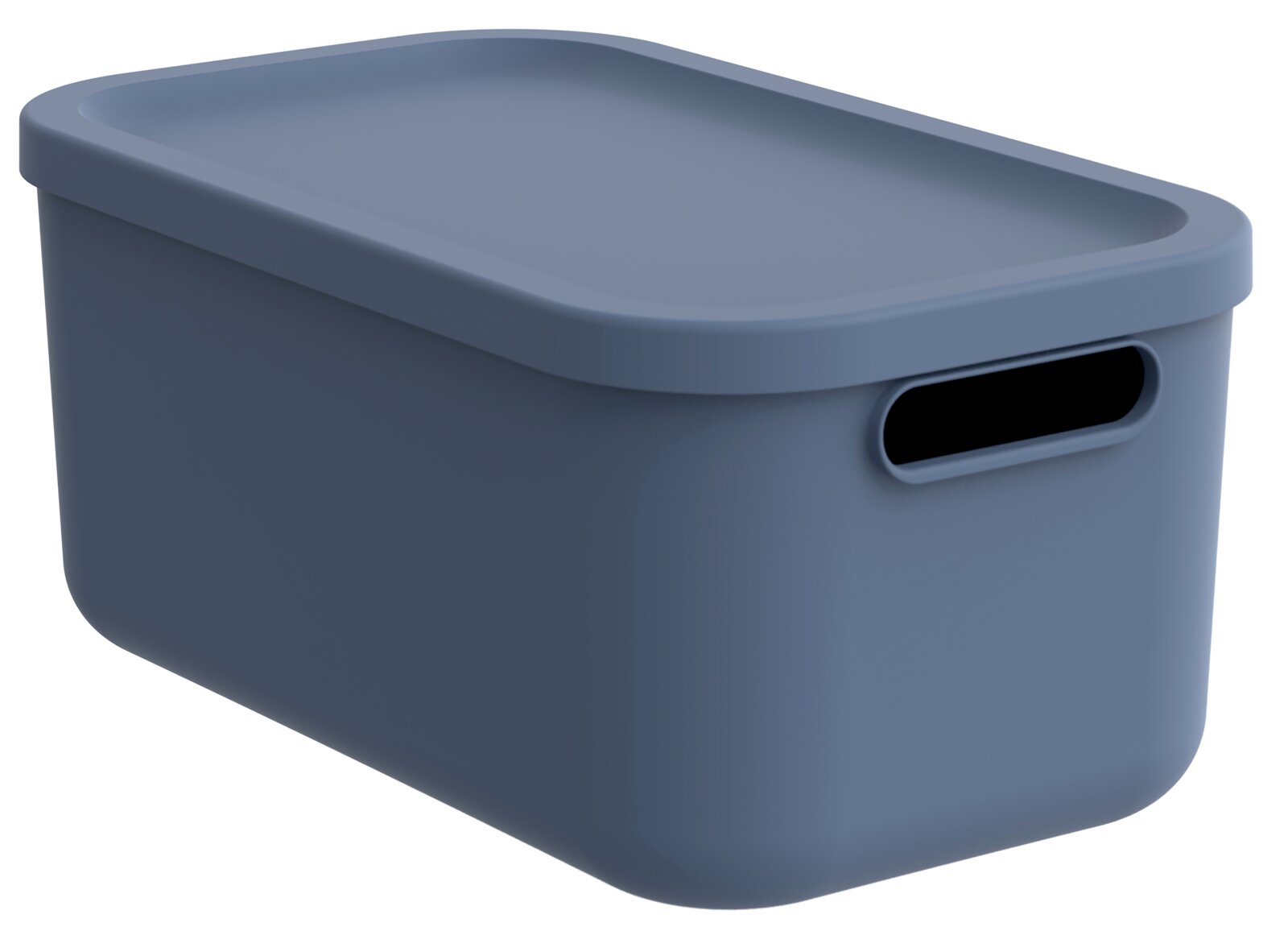 rotho Multibox ALBULA