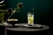 Ein Longdrinkbecher mit einem Getränk, Gurkenscheiben und einem grünen Strohhalm, auf einem dunklen Tisch mit einer Schale Oliven und dekorativen Pflanzen im Hintergrund, aus seitlicher Perspektive.
