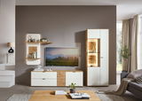 Moderne Wandkombination in einem Wohnzimmer, bestehend aus einem TV-Schrank, Regalen und einem hohen Schrank mit Glastüren, aus einer frontalen Perspektive betrachtet.