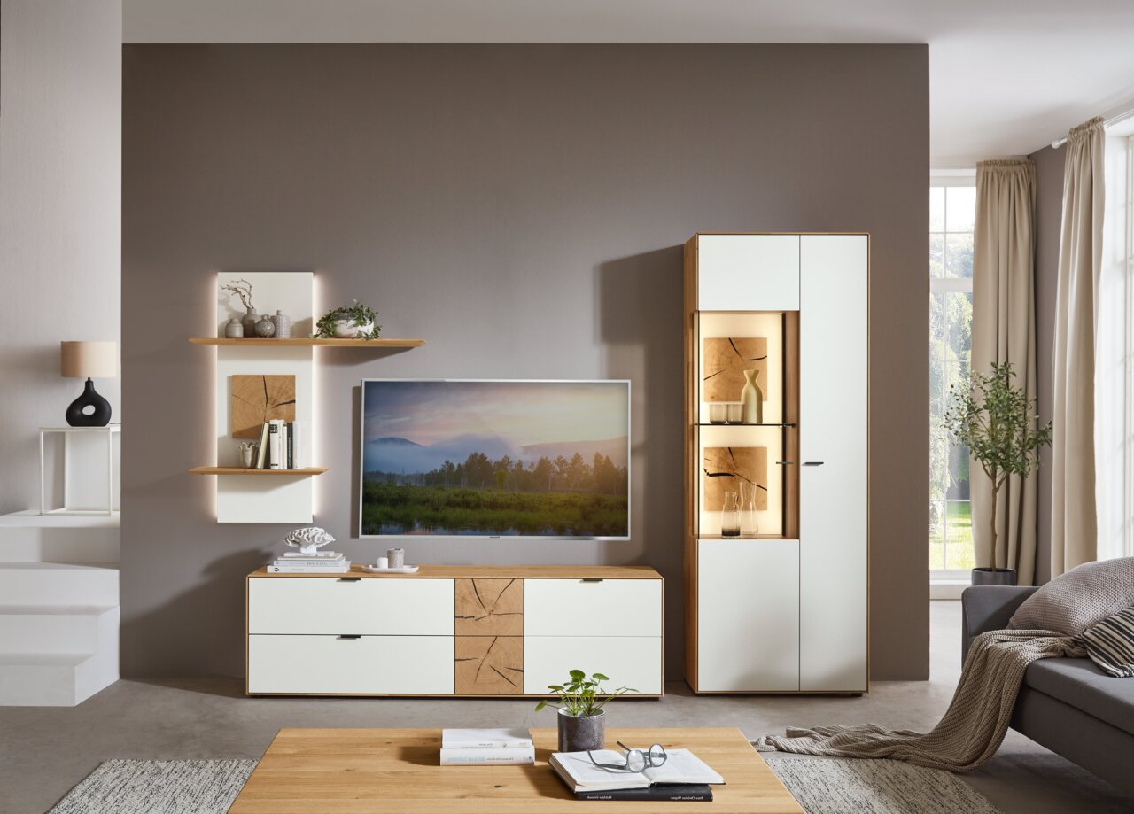 Moderne Wandkombination in einem Wohnzimmer, bestehend aus einem TV-Schrank, Regalen und einem hohen Schrank mit Glastüren, aus einer frontalen Perspektive betrachtet.
