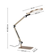 Verstellbare LED-Schreibtischlampe in Champagner/Gold mit Ringkopf (Ø 20 cm) und Gelenkarm, Seitenansicht; Höhe 45–98,5 cm, Armlänge 32 cm, Standfuß 22,5 × 12,5 cm auf weißem Hintergrund.