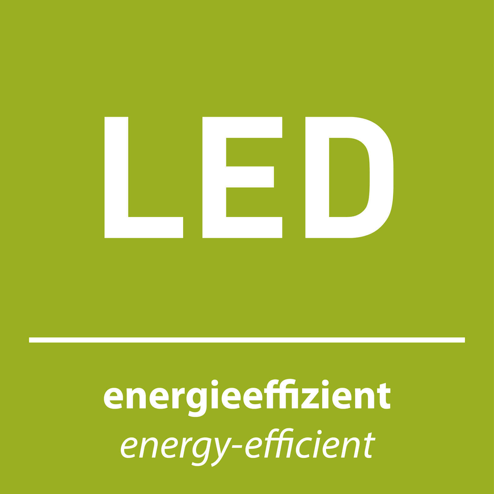 Grünes LED-Symbol mit der Aufschrift 'energieeffizient', Vorderansicht