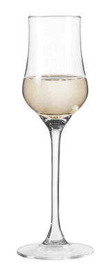 Elegantes Grappaglas Ciao+ 85ml, frontal abgebildet, gefüllt mit hellem Getränk.