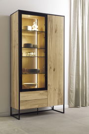 Moderne Vitrine aus Holz mit Glastüren, beleuchtetem Innenraum und Metallrahmen, seitliche Perspektive.