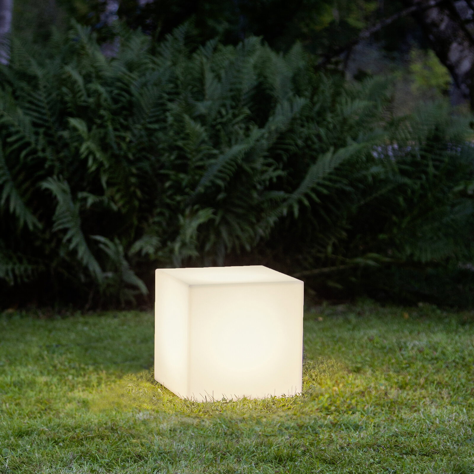 Leuchtender, würfelförmiger Outdoor-Lichtwürfel in warmweiß auf einer Rasenfläche vor Farnen, fotografiert in leichter Seitenansicht auf Augenhöhe.