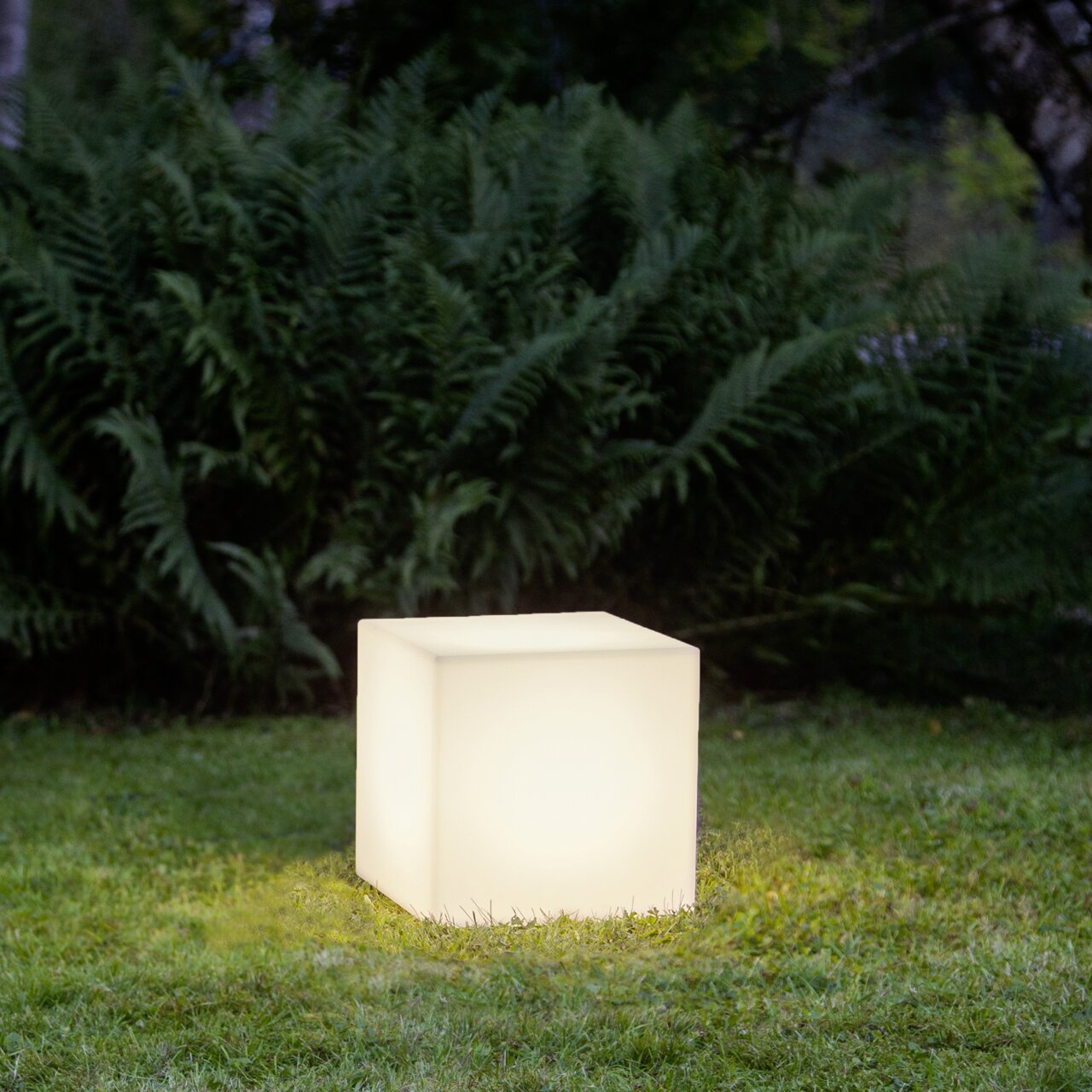 Leuchtender, würfelförmiger Outdoor-Lichtwürfel in warmweiß auf einer Rasenfläche vor Farnen, fotografiert in leichter Seitenansicht auf Augenhöhe.