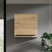 Moderner Hängeschrank aus Holz in Frontansicht, montiert an einer grauen Wand, mit einer Pflanze rechts im Bild.