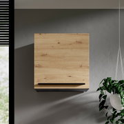 Moderner Hängeschrank aus Holz in Frontansicht, montiert an einer grauen Wand, mit einer Pflanze rechts im Bild.