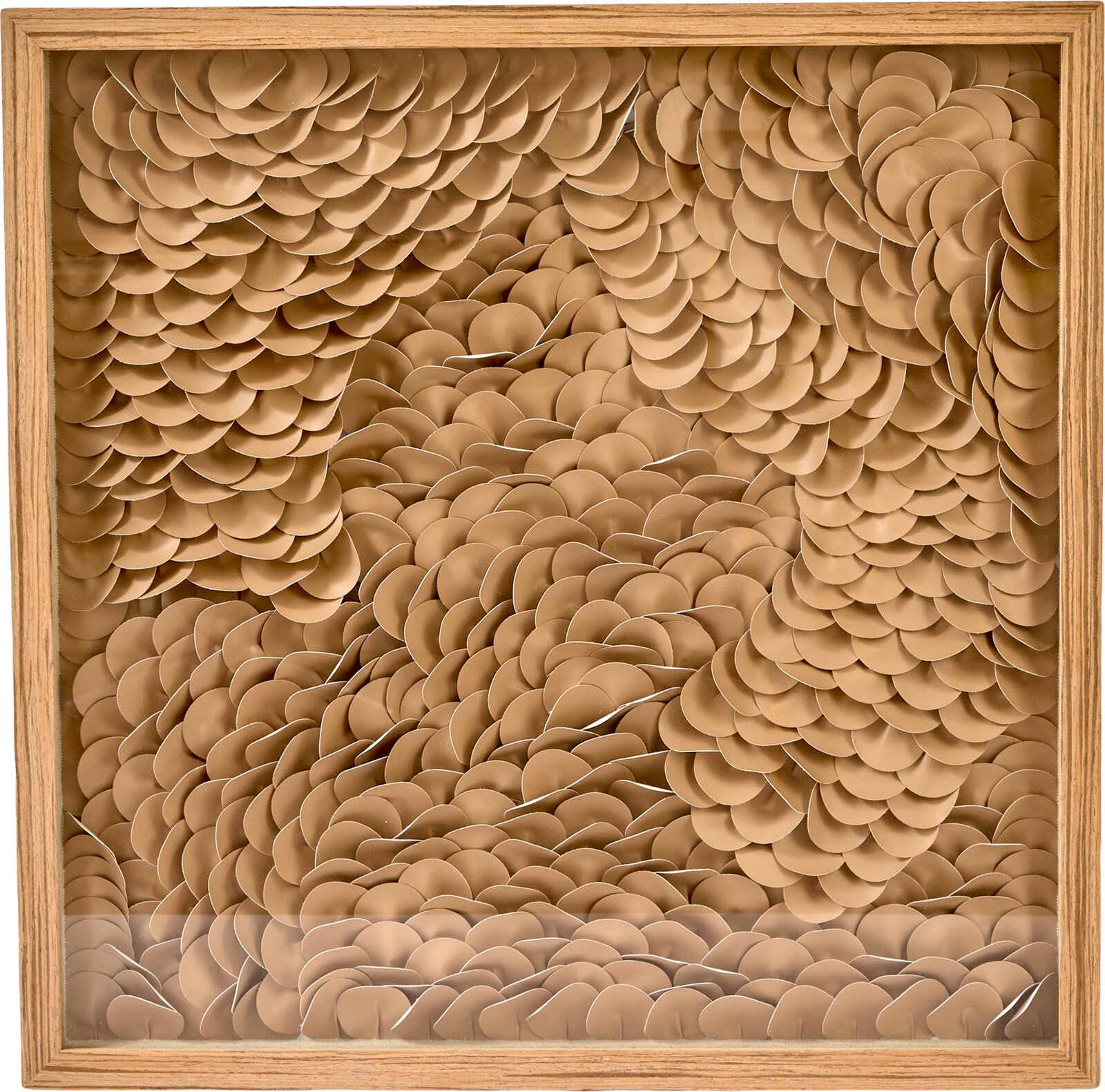 Frontaal aanzicht van abstract driedimensionaal wandobject met overlappende organische vormen in warme bruintinten, omlijst door een naturel houten frame