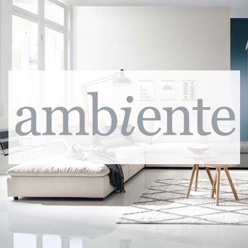 Modernes Wohnzimmer mit Logo von „ambiente“, mit Sofa, Tisch und Teppich.