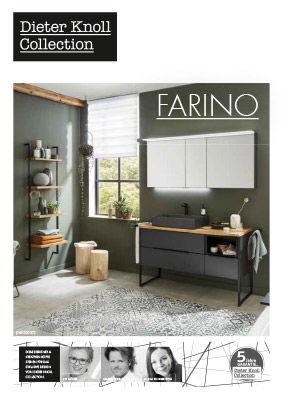 Dieter Knoll Farino - Katalog