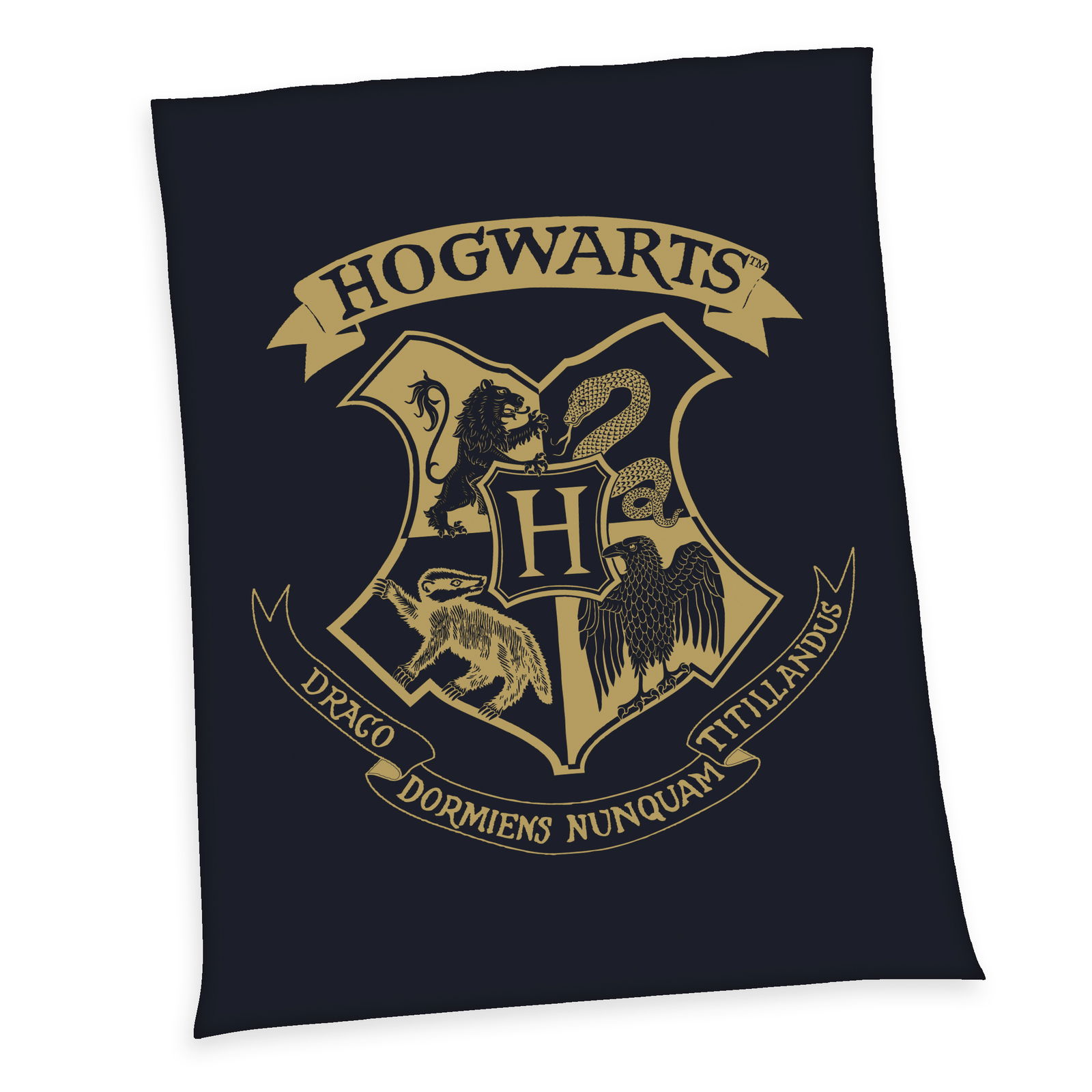 Harry Potter Wellsoft-Flauschdecke HARRY POTTER Harry Potter Wellsoft-Flauschdecke HARRY POTTER