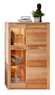 Vitrine klein aus Holz mit Glaselementen, dekoriert mit Büchern, Pflanzen und Skulpturen, frontal betrachtet.