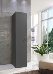 Moderner, schmaler Kleiderschrank in dunklem Grau, seitliche Perspektive, in einem hellen Raum mit großen Fenstern und Pflanzen.