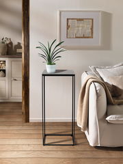 Moderner Beistelltisch mit schwarzem Metallgestell und quadratischer Tischplatte, darauf steht eine grüne Pflanze in einem weißen Topf. Perspektive: Frontalansicht.