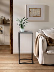 Moderner Beistelltisch mit schwarzem Metallgestell und quadratischer Tischplatte, darauf steht eine grüne Pflanze in einem weißen Topf. Perspektive: Frontalansicht.