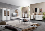 Moderne Wohnzimmermöbel in einem hellen Raum mit großen Fenstern, bestehend aus weißen Vitrinen, Sideboards und einem TV-Lowboard. Perspektive von der Sofaecke aus.