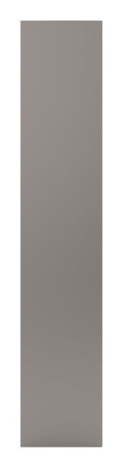 Spiegeltür in voller Frontalansicht, Maße 202x45 cm