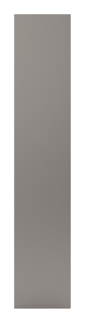 Hom´in Spiegeltür UNIT Spiegeltür in voller Frontalansicht, Maße 202x45 cm