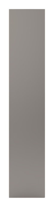 Spiegeltür in voller Frontalansicht, Maße 202x45 cm