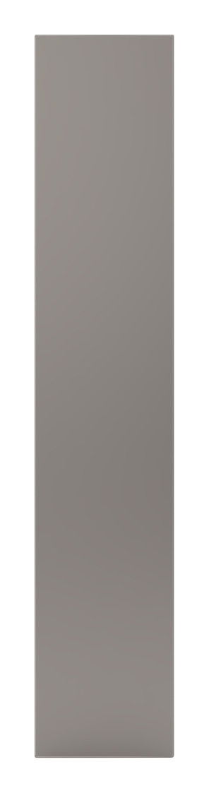 Spiegeltür in voller Frontalansicht, Maße 202x45 cm